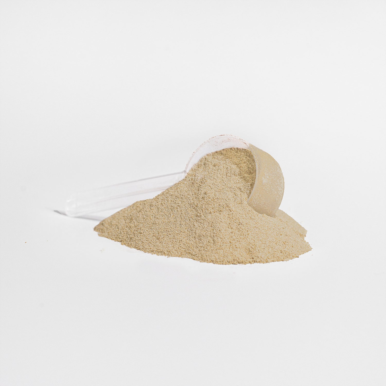 WHEY PROTEIN ISOLATE - VANILLA